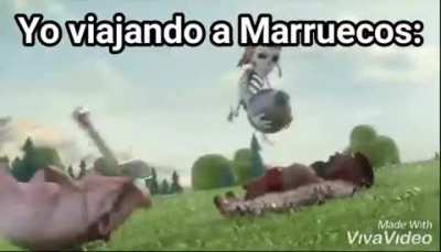 Mdlr