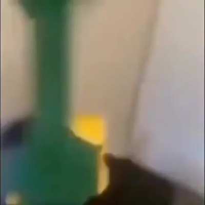 Meme