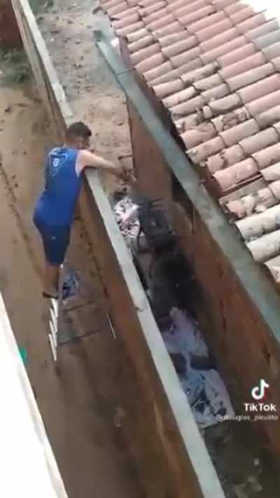 Carne ta cara.. kkk