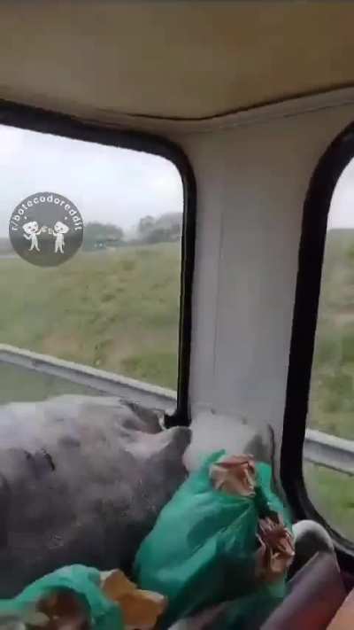 Quintamos pessoal? 