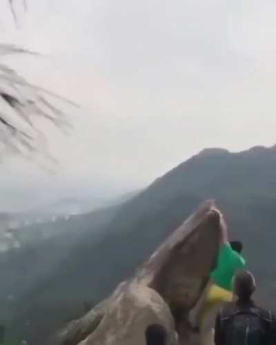 Wcgw posing in a dangerous place