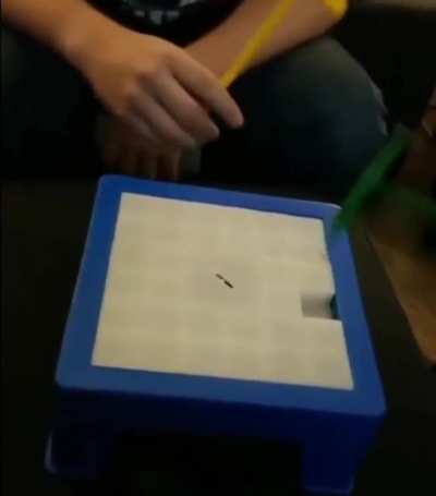 Fun little game