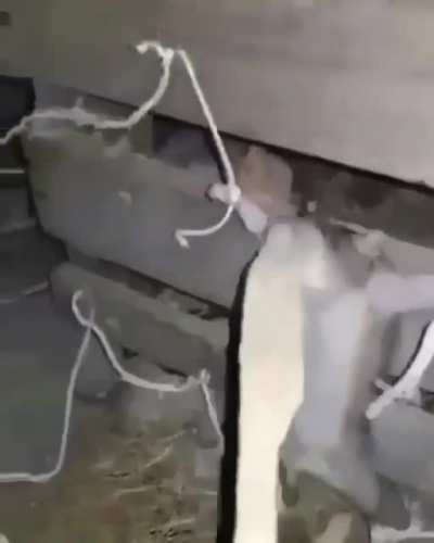 nOooOo rAtItA :(