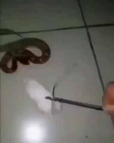 An interesting title