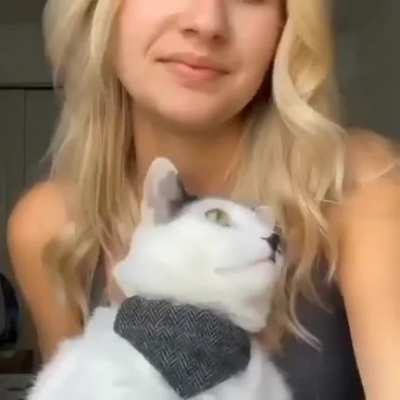 kedizade