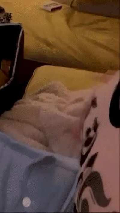 Boob Jiggles