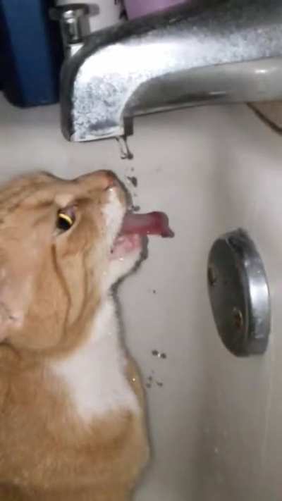 Pinkie doing a blep in slow-mo