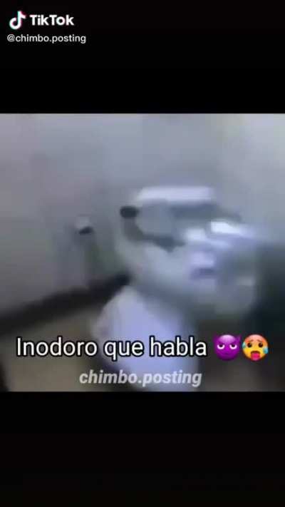 el inodoro que habla (cara facha)