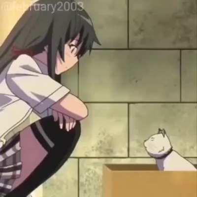 MEOW MEOW NIGGA