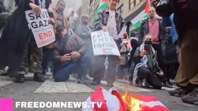 Pro-Palestine Protesters Burn American flag chanting 