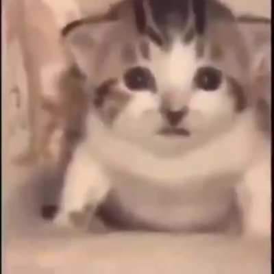 Noo..