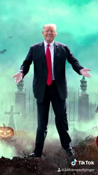 Go Vote