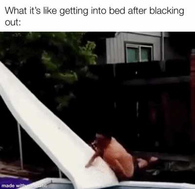 The ground’s comfy
