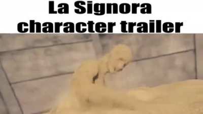leaked footage
