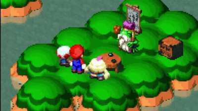 Mallow gets bonked (video from DMG)