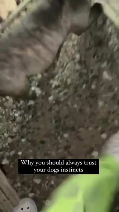 Hey there