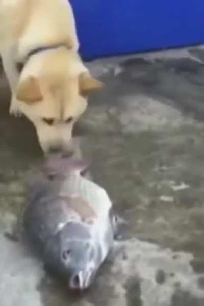 :(
