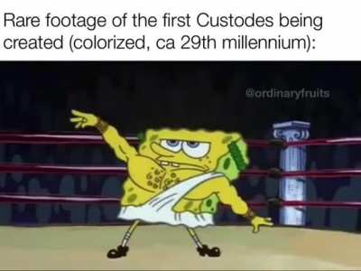 And that’s how Kitten was born