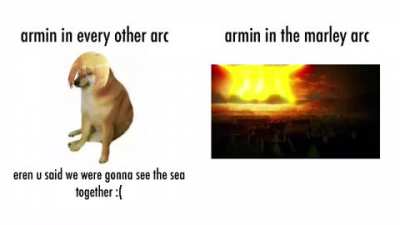 arminbe like 
