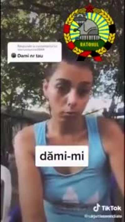 Lectii de limba romana