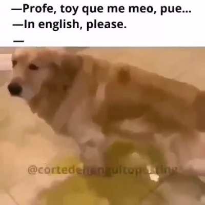 In english please
