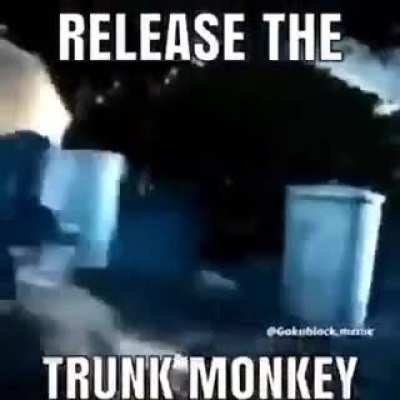 monke