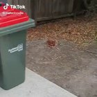 Hey, are you okay?