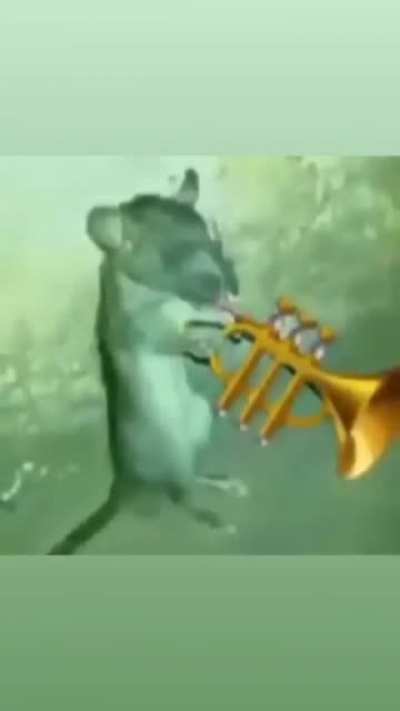 i dont have a title