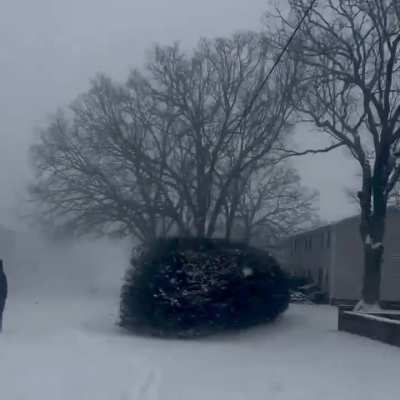 Train collided with a semi- tractor-trailer after the vehicle became immobilized in the snow.