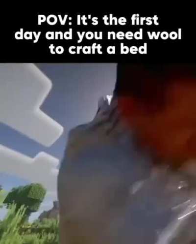 Say. My. Bed.