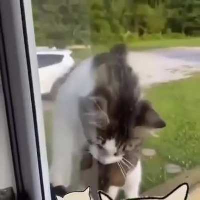 Эй, хозяин, откры<wbr>вай, я пожрать принес!