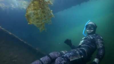 Alaskan Shipwreck Swim-through (The Fox Island Barge)