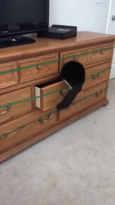 nice try hooman