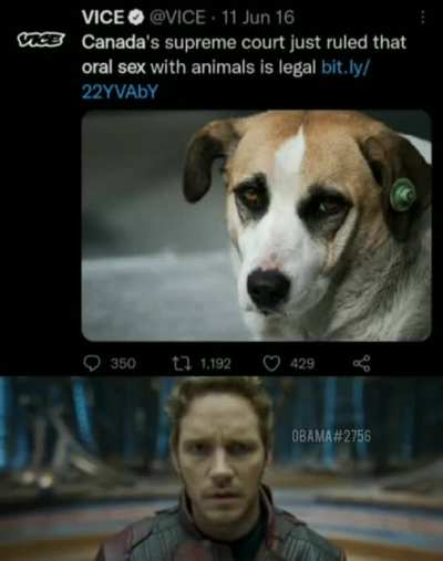 Anims
