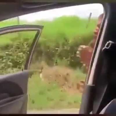 Man just flew at the end