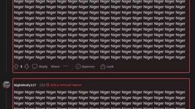 Holy shit, the dedication to be racist is incredible, even if he copy pasted all of that