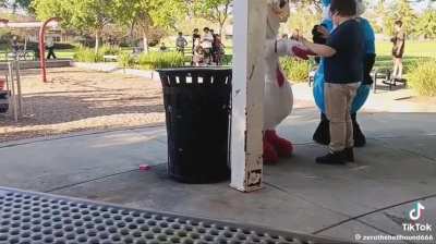 Dispute over furries in the park