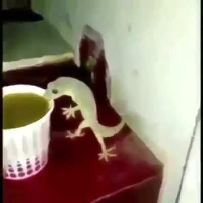blursed lozord