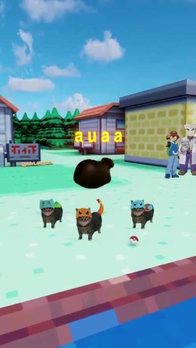 Poke Wunkus