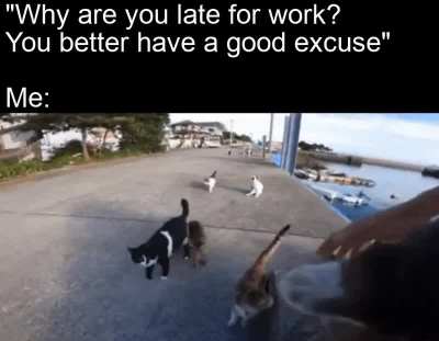 I couldn't help it