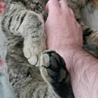 look at this cute little shit