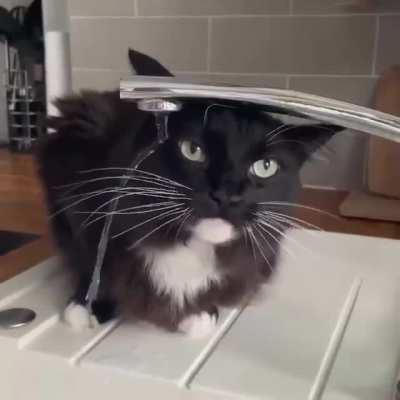 How can they drink like this?