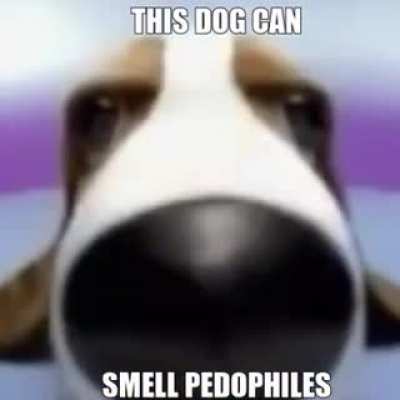 I think he smells something...