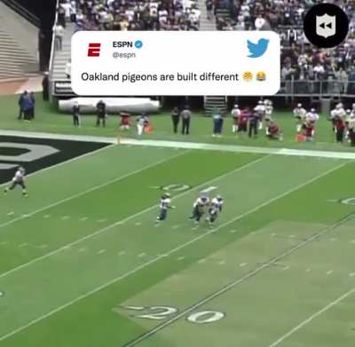 Raiders didn’t even get called for having an additional player on field