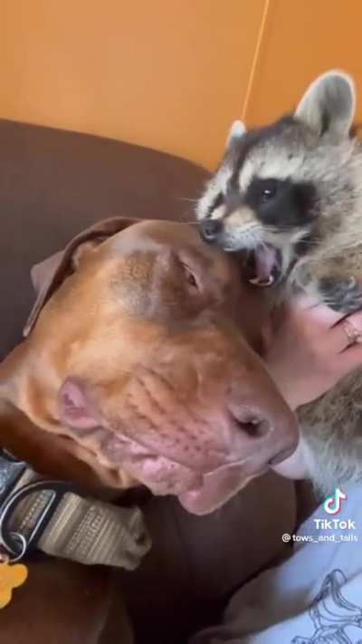 these two are best friends