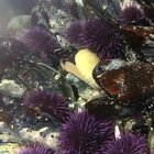 🔥 Take a look under the water 🔥