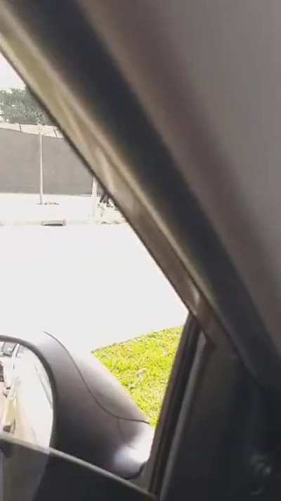 Eu amo o fato que esse vídeo não tem sentido nenhum