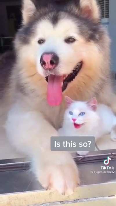 This is adorable.