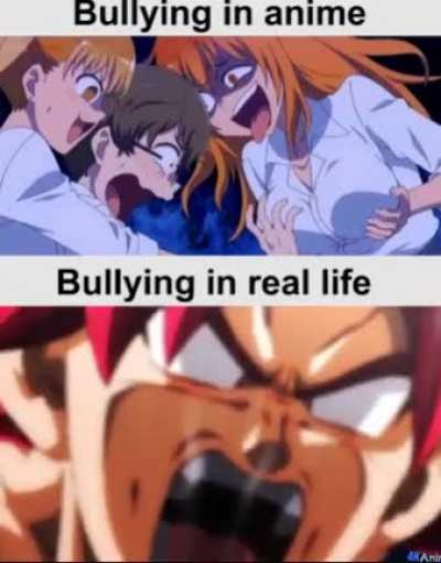 Xd