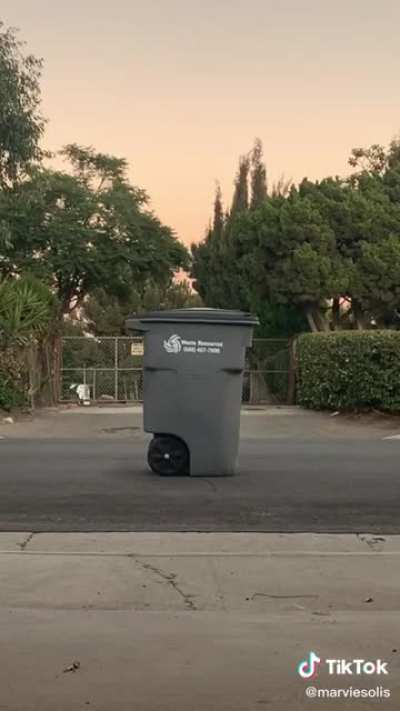 Nothing to see here
